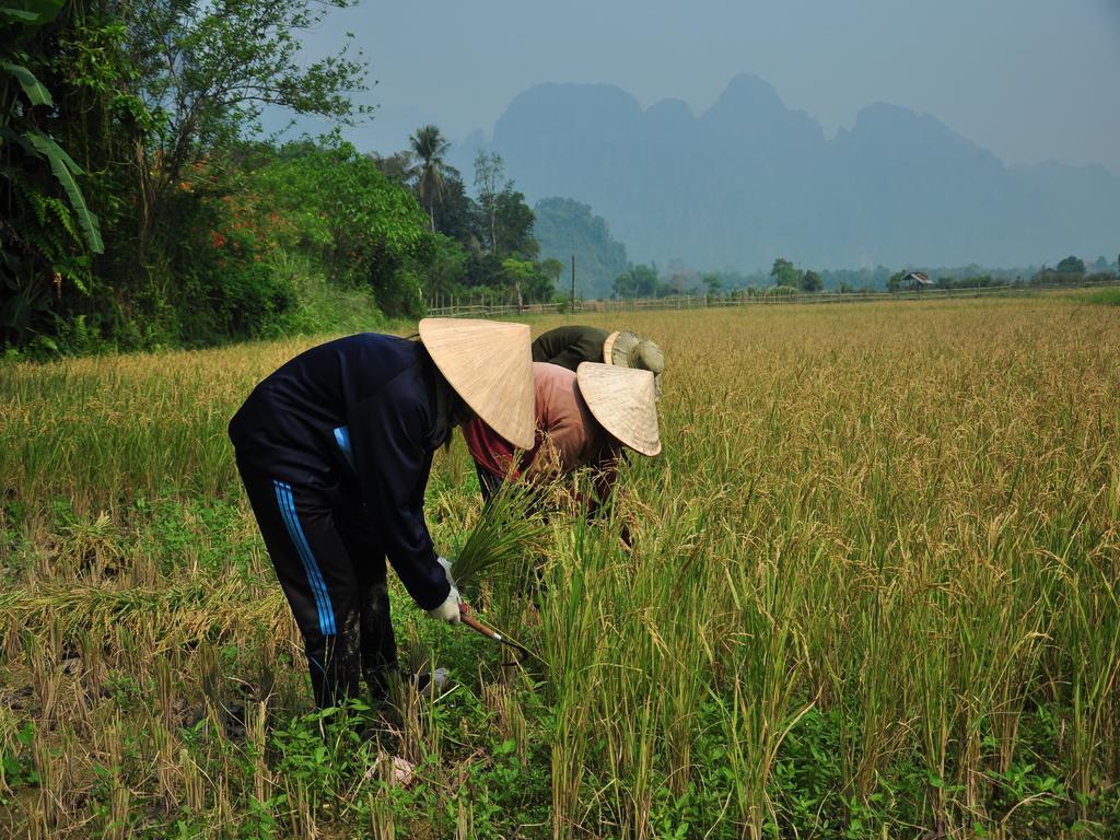 Viengtara Vangvieng Resort Vangviang Kültér fotó